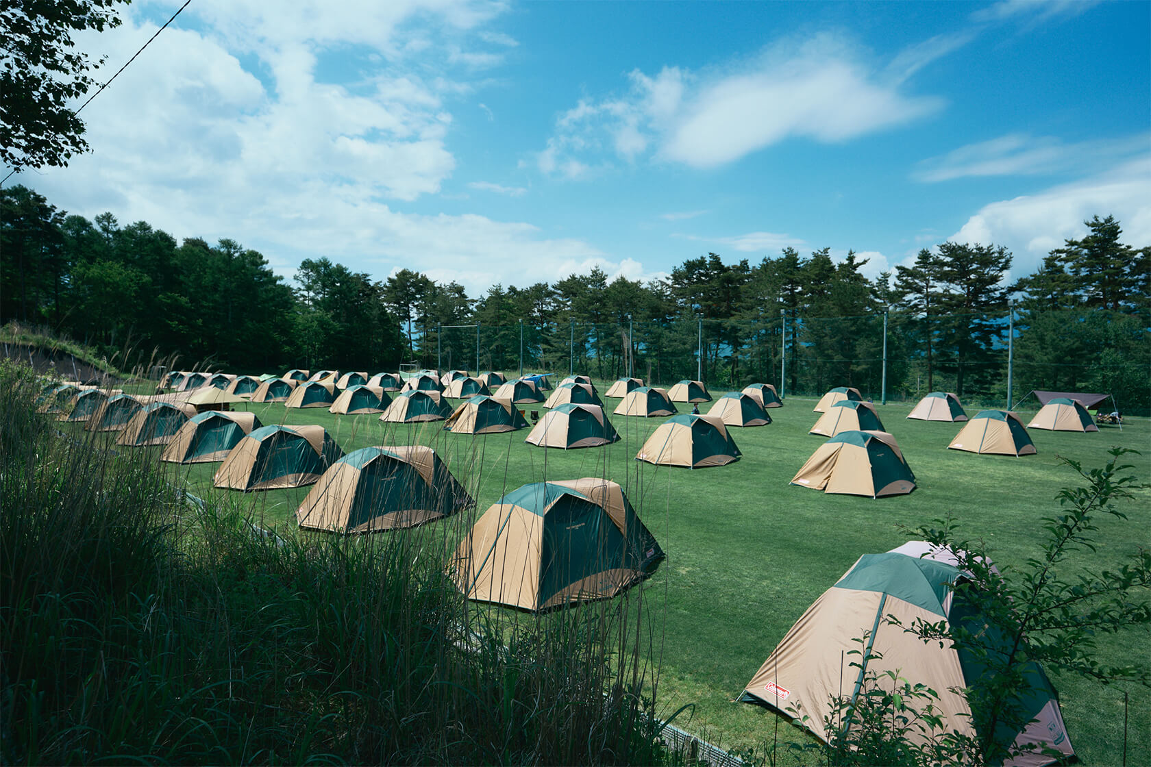 THE CAMP BOOK